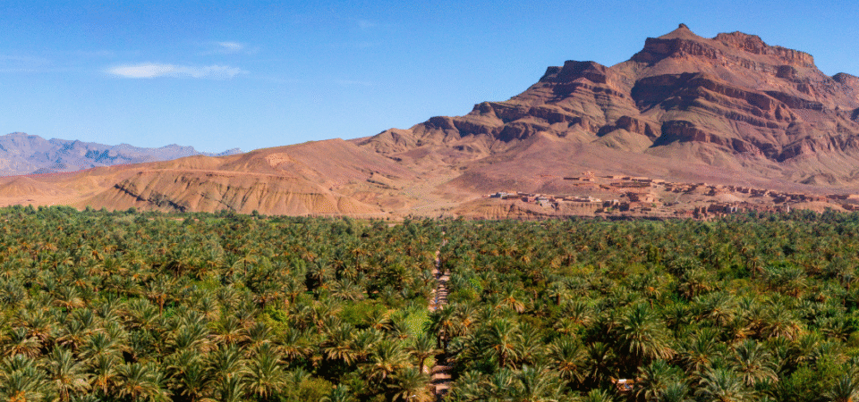 3 Days Marrakech Luxury Desert Tours